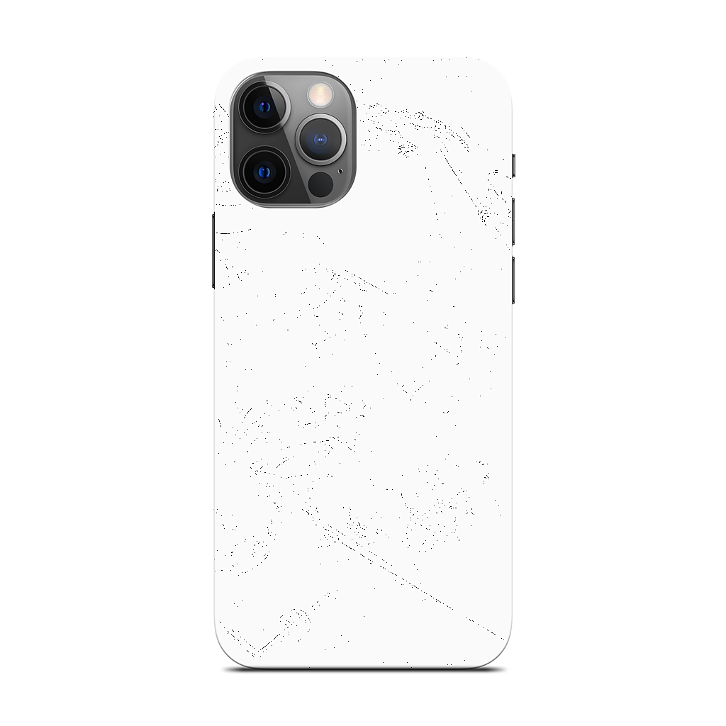 Reptiles iPhone Skin