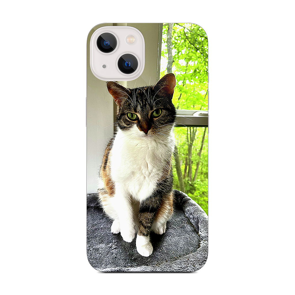 Custom iPhone Skin - 55ebff35