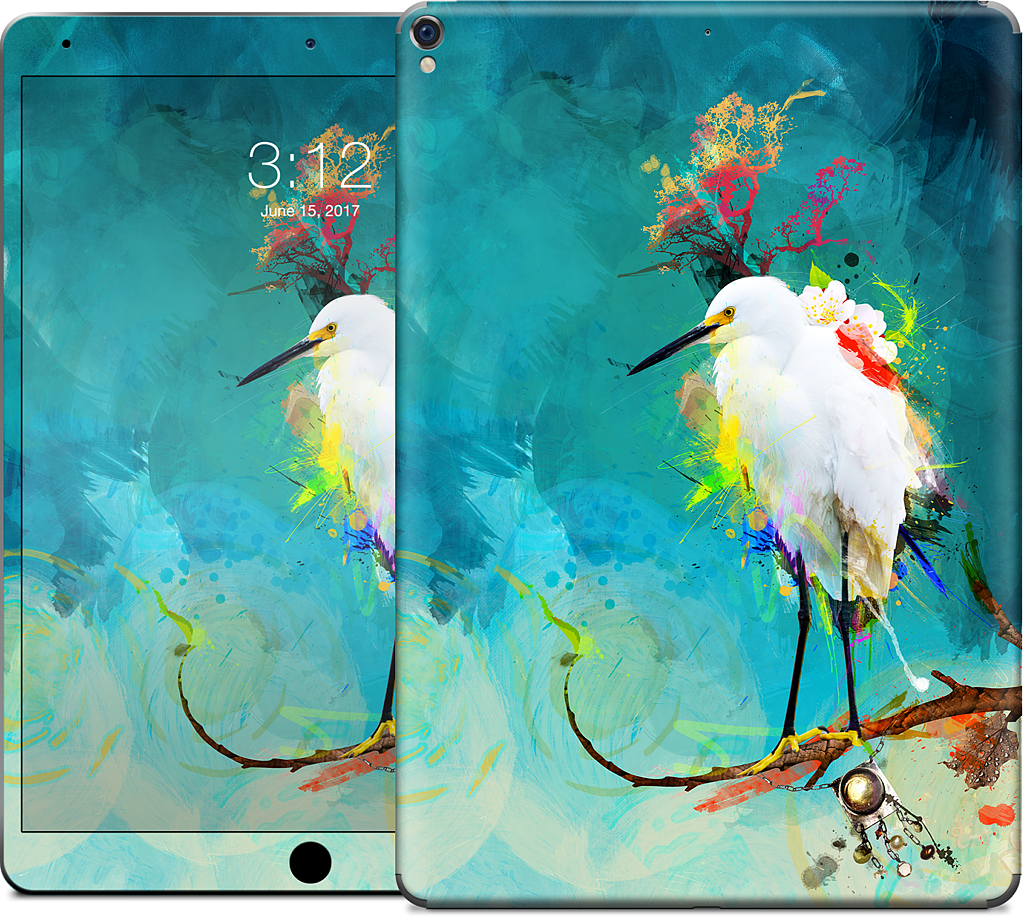 Evening Sun iPad Skin