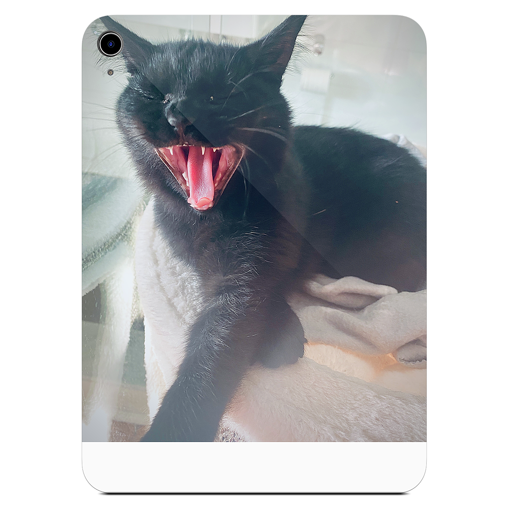 Custom iPad Skin - c2603554