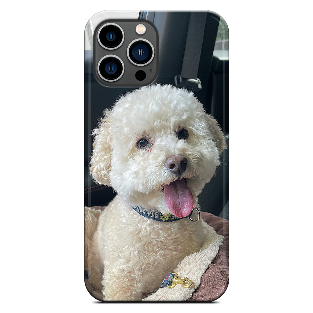 Custom iPhone Case - 6ce8ac8b