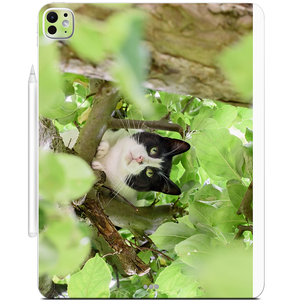 Custom iPad Skin - cc745d9f