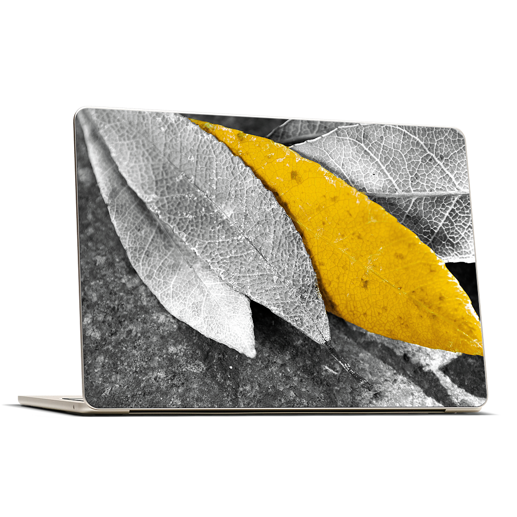Custom MacBook Skin - 5c549179