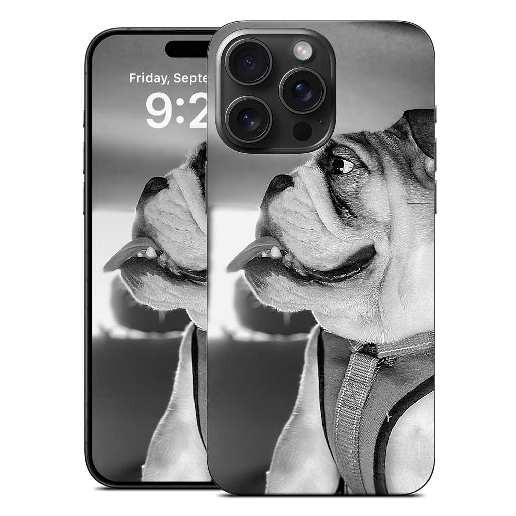 Custom iPhone Skin - 8e40c135