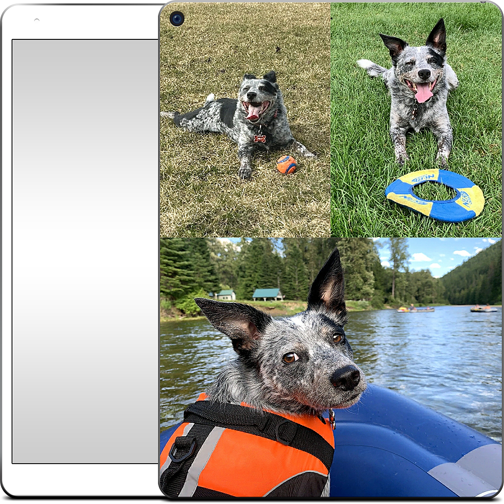 Custom iPad Skin - ad5374f7