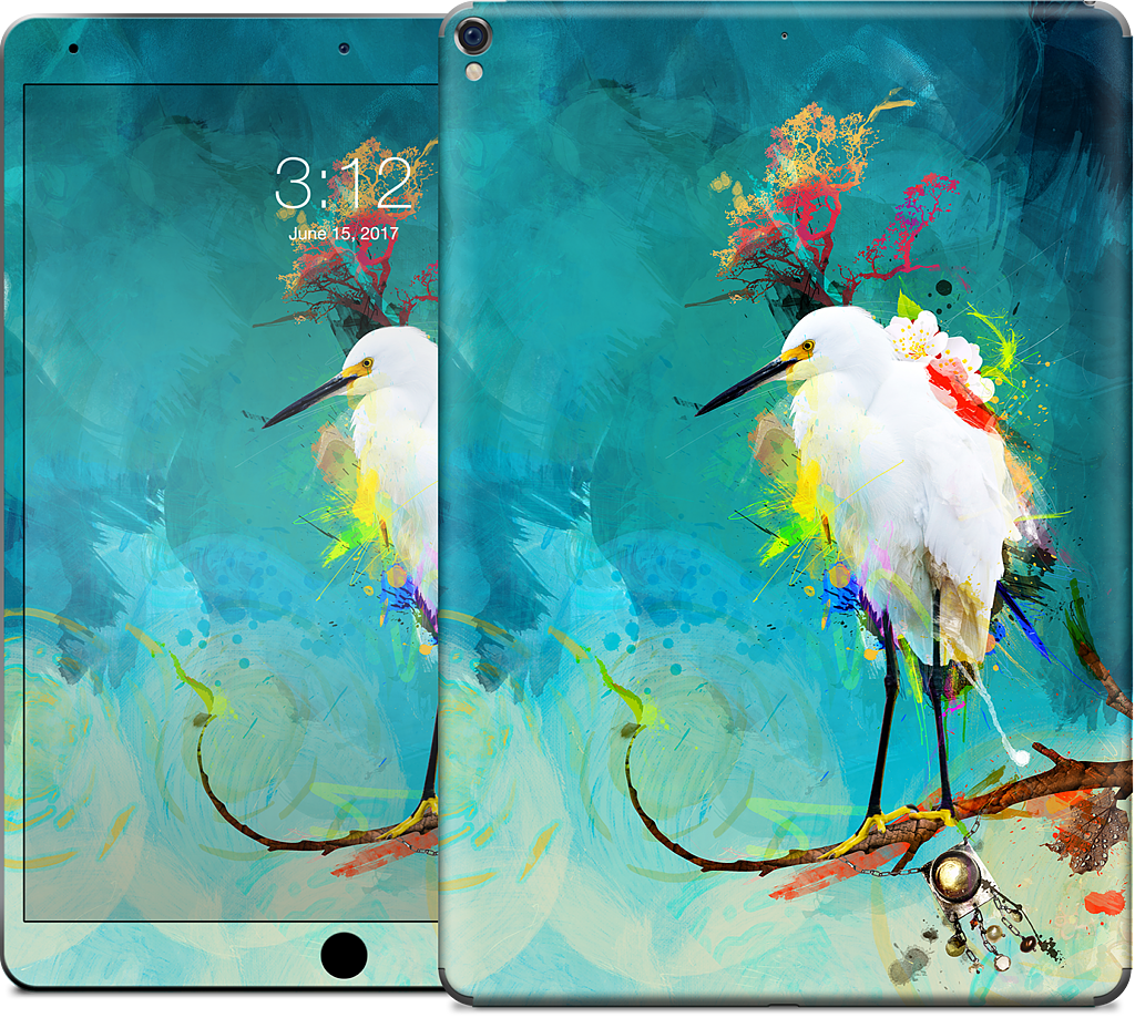 Evening Sun iPad Skin