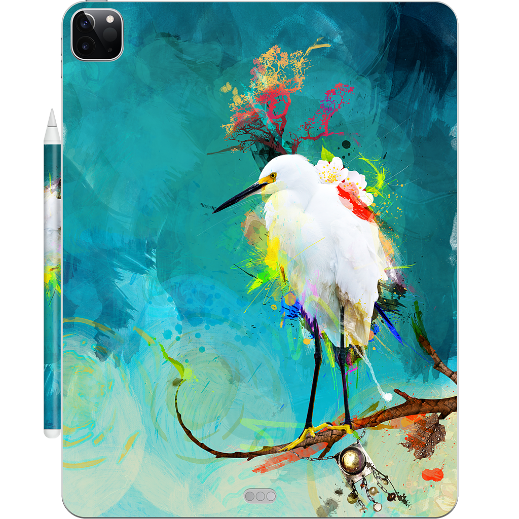 Evening Sun iPad Skin