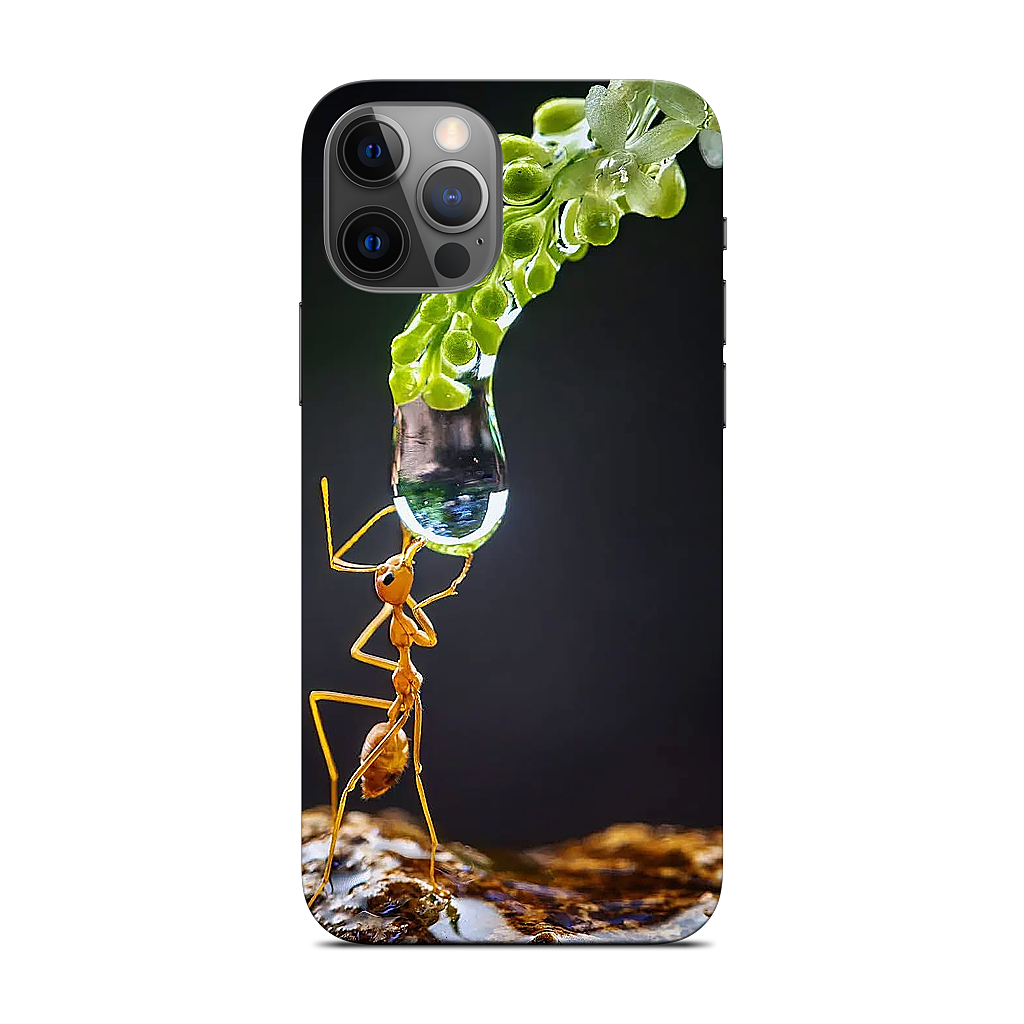 Custom iPhone Skin - 5c0d1b78