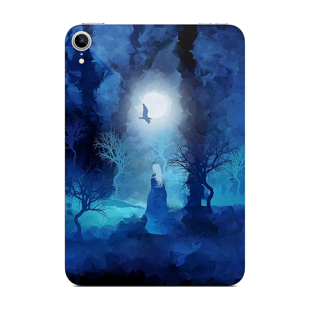Additional Views The Magician by Viviana Gonzales and Paul Kimble iPad Skin