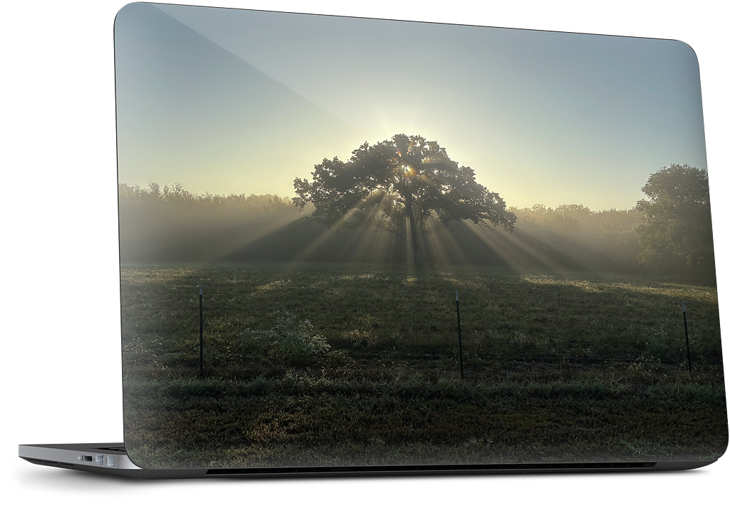 Custom Dell Laptop Skin - 2ca69b9c