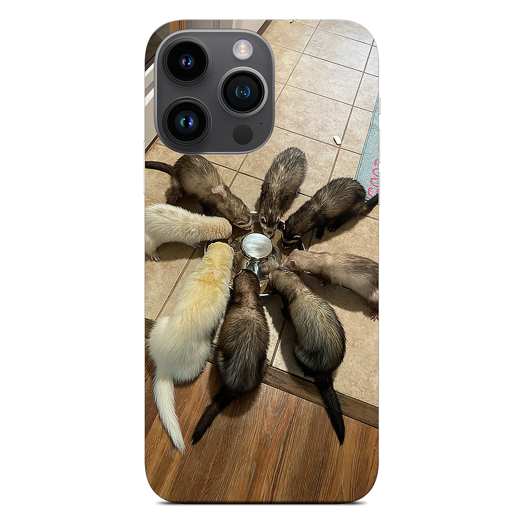 Custom iPhone Skin - 774b351a