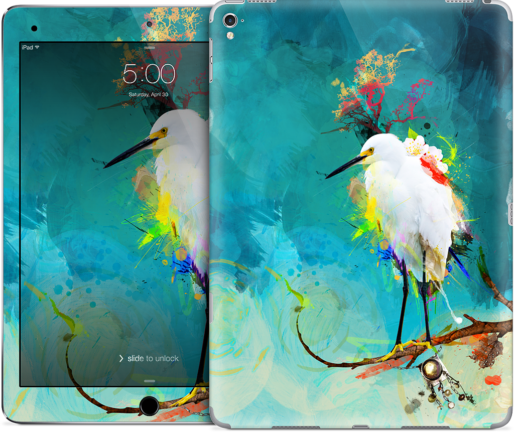 Evening Sun iPad Skin
