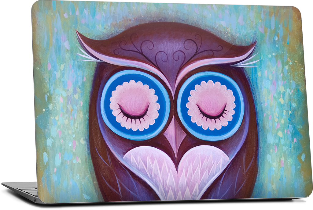 Sleepy Owl MacBook Skin