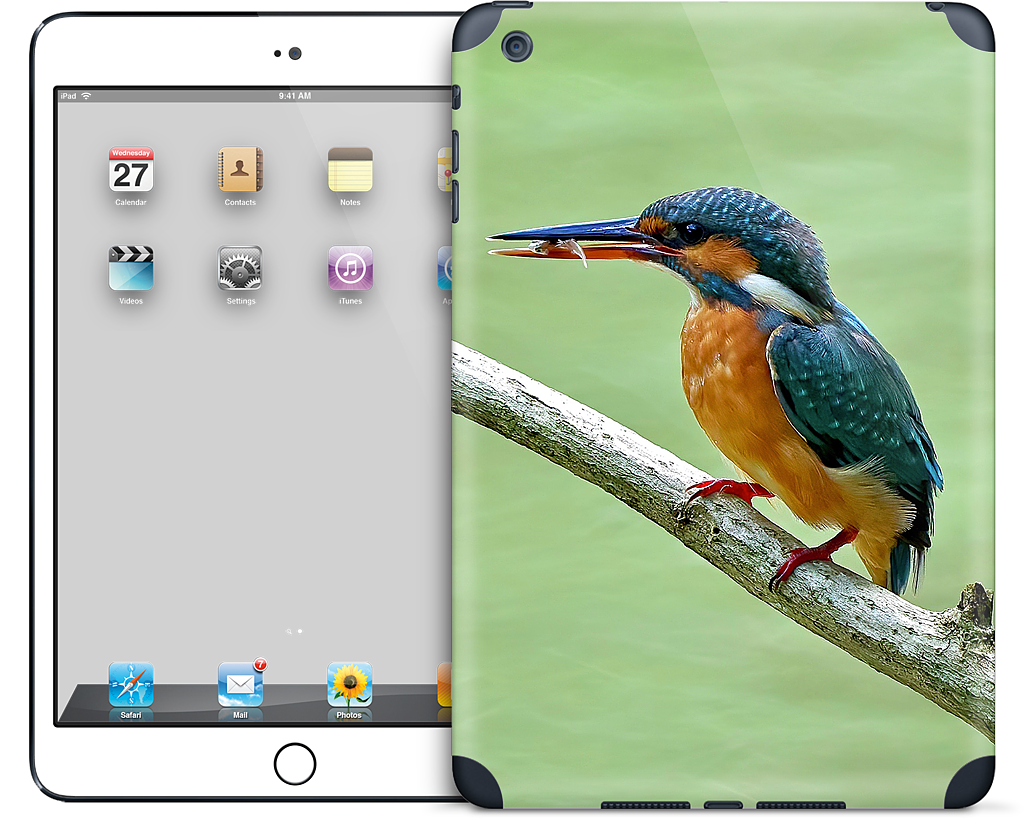 Custom iPad Skin - 864120eb