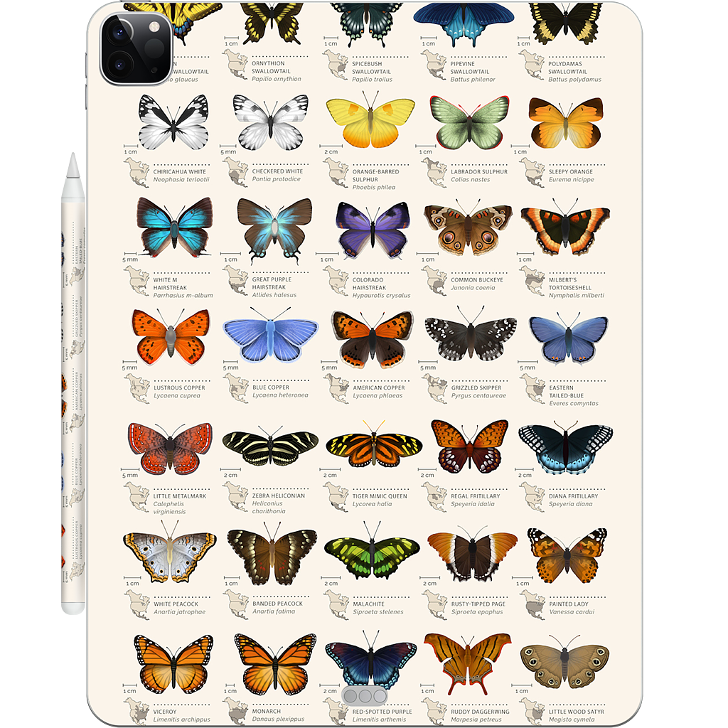 42 North American butterflies iPad Skin