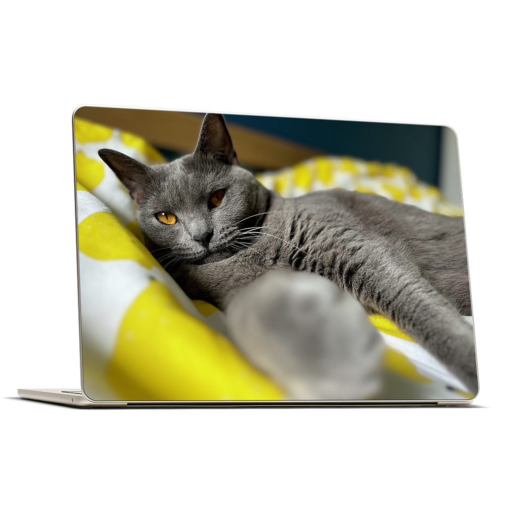 Custom MacBook Skin - c62ff4c4