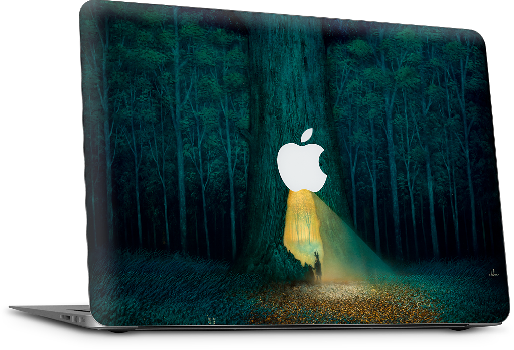 Beyond the Familiar MacBook Skin