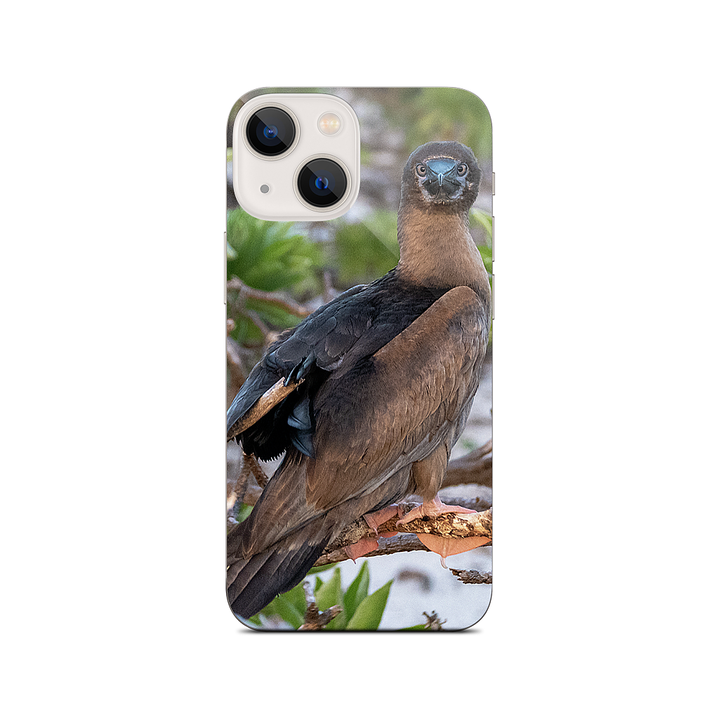 Custom iPhone Skin - f8d37b83