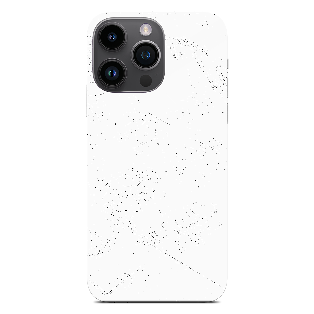 Reptiles iPhone Skin