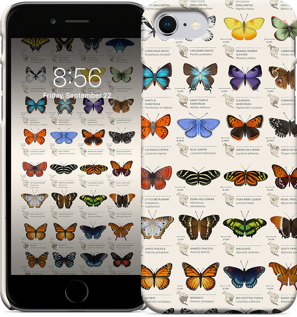 42 North American butterflies iPhone Case