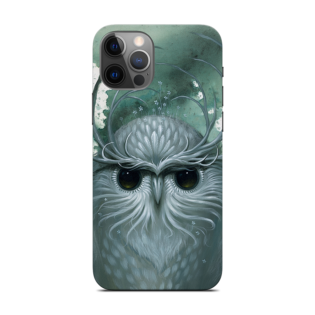 Snow Owl iPhone Skin