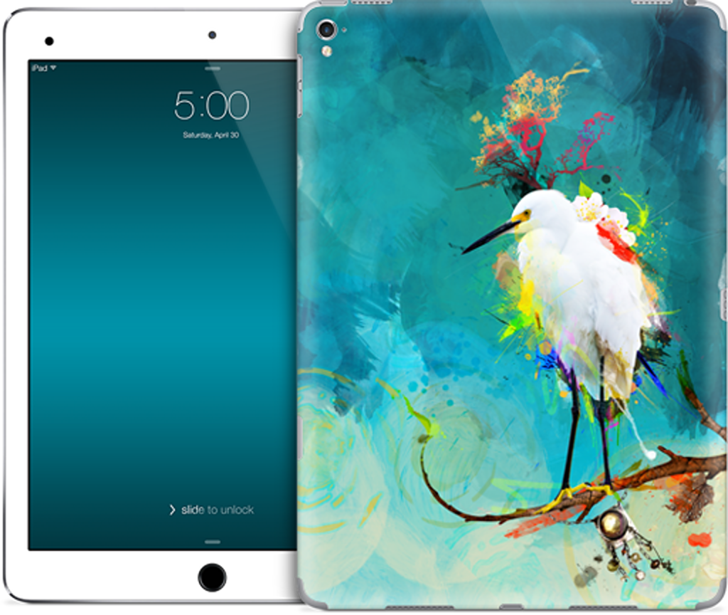 Evening Sun iPad Skin