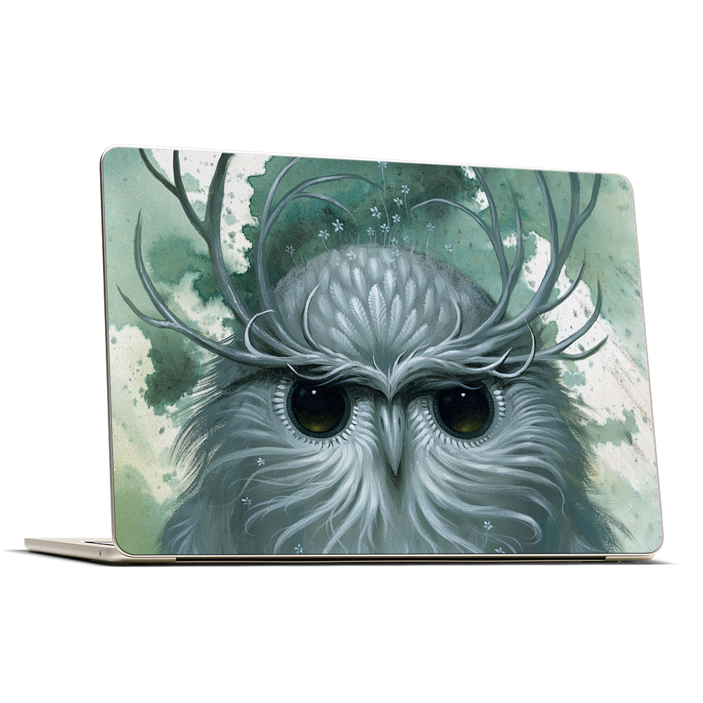 Snow Owl MacBook Skin