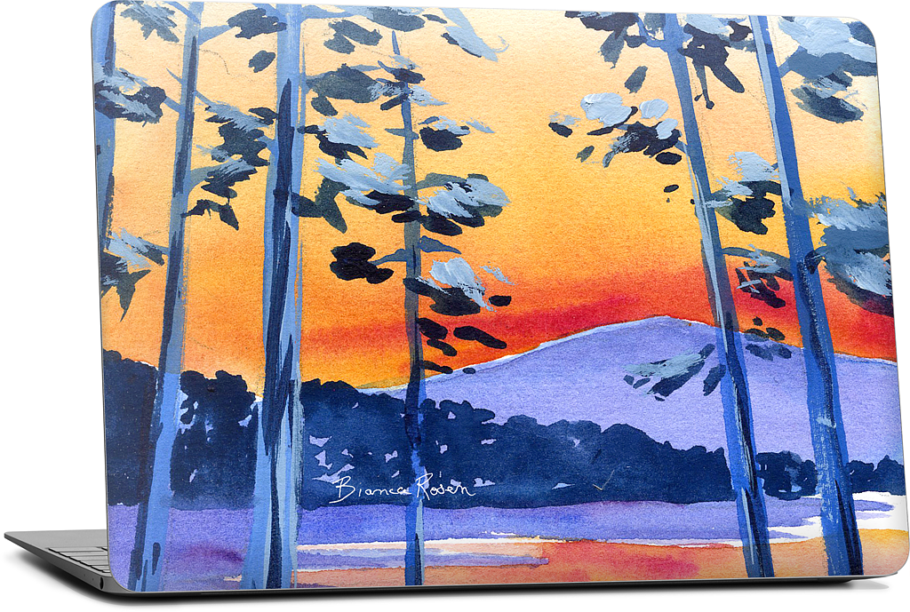 Lake Tahoe MacBook Skin
