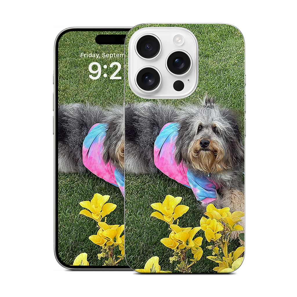 Custom iPhone Skin - f9941b4c