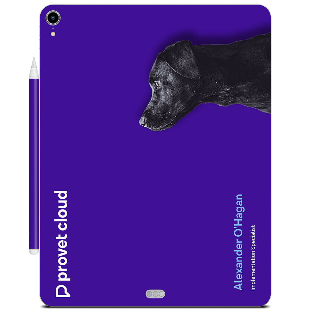 Custom iPad Skin - 84abbc64
