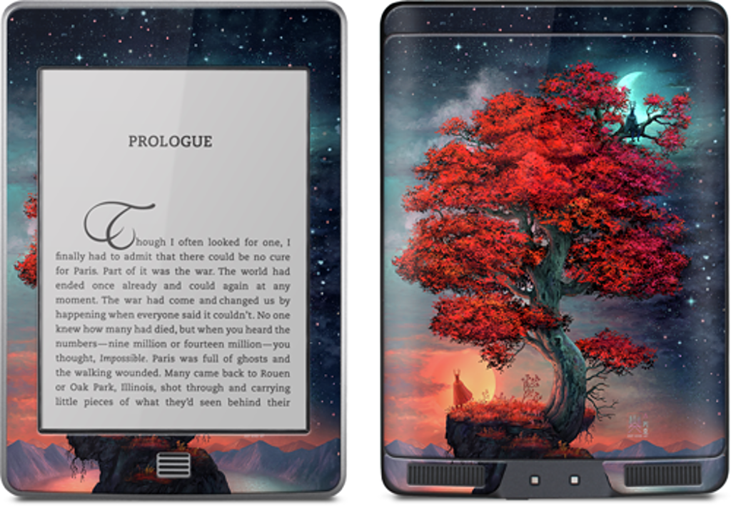 Light & Dark in Equal Parts Kindle Skin