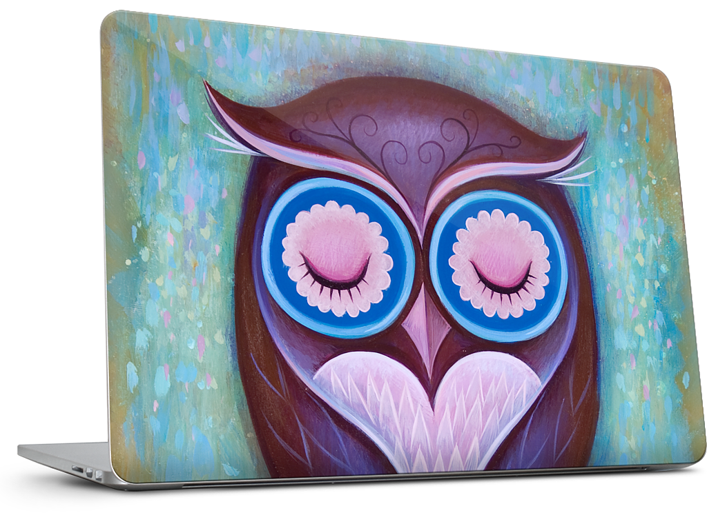 Sleepy Owl MacBook Skin