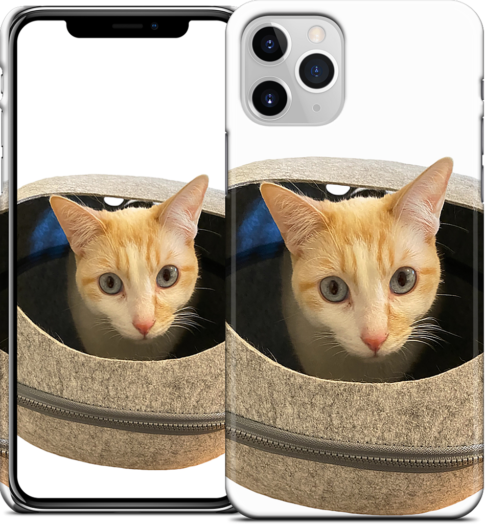 Custom iPhone Case - f23717e2