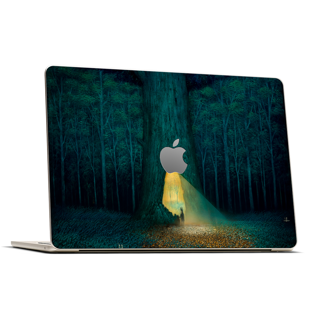 Beyond the Familiar MacBook Skin