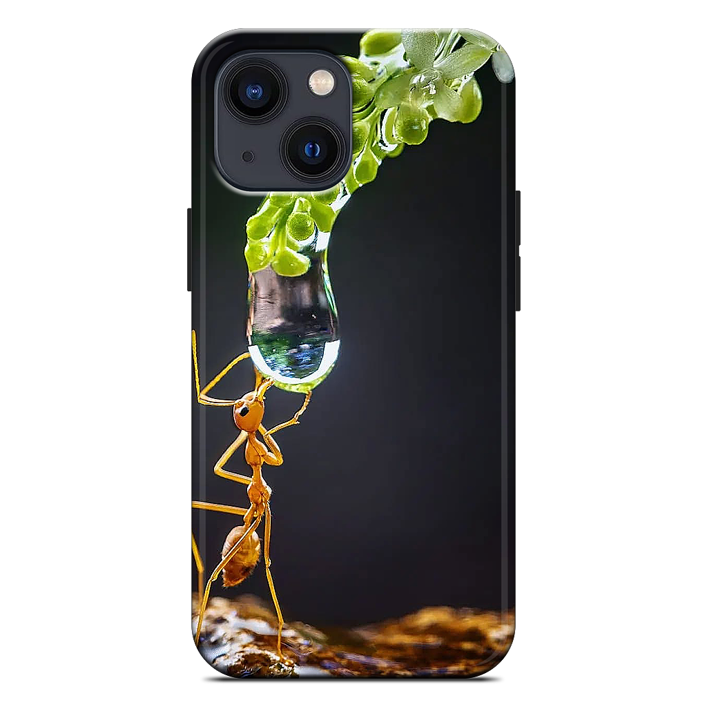 Custom iPhone Case - eee79679