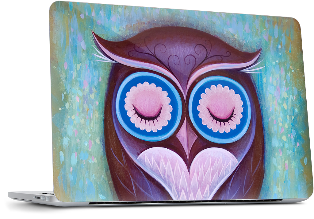 Sleepy Owl MacBook Skin