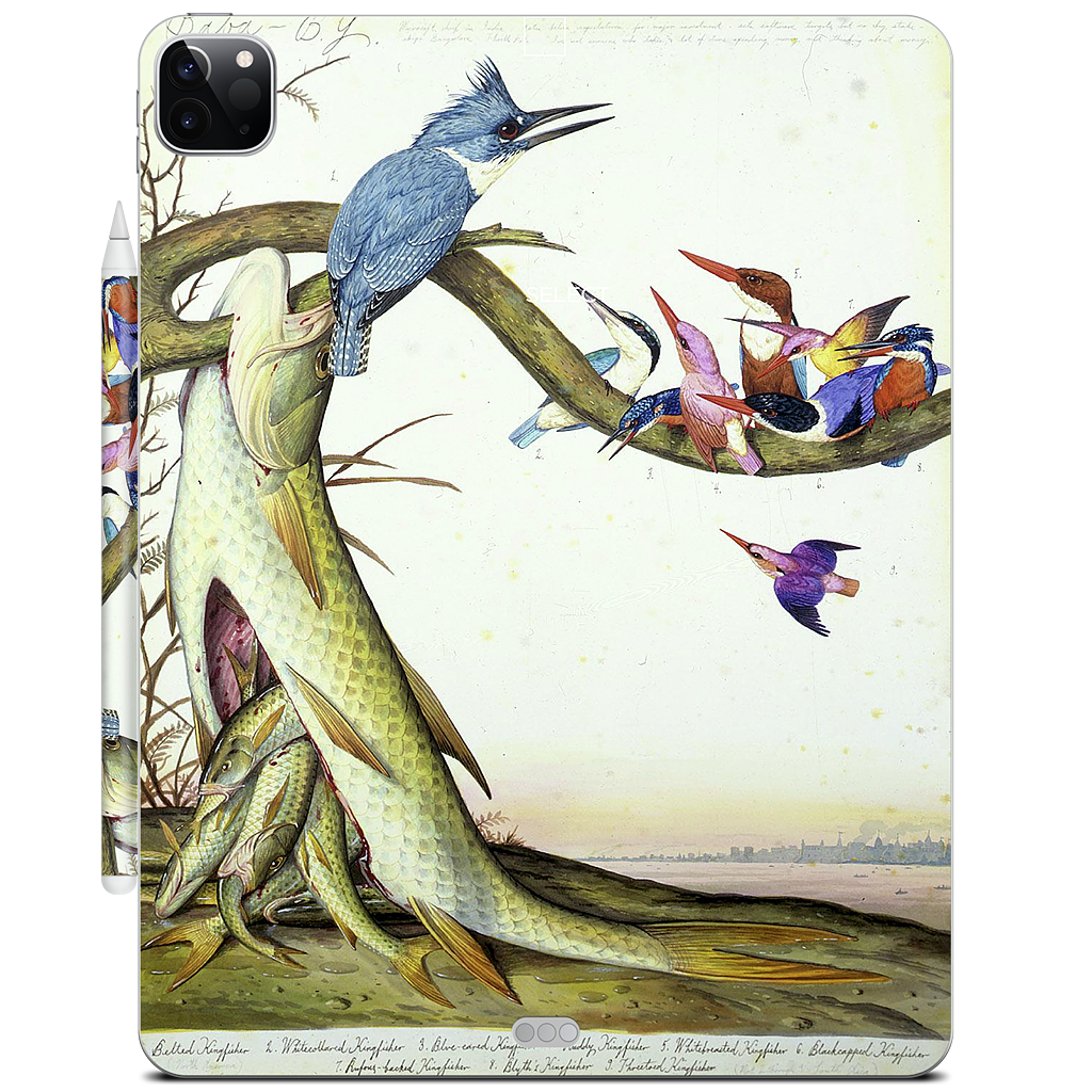 Custom iPad Skin - 49ab3d1f