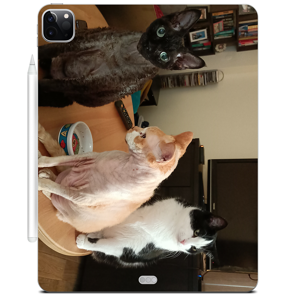 Custom iPad Skin - 7ab5fd21