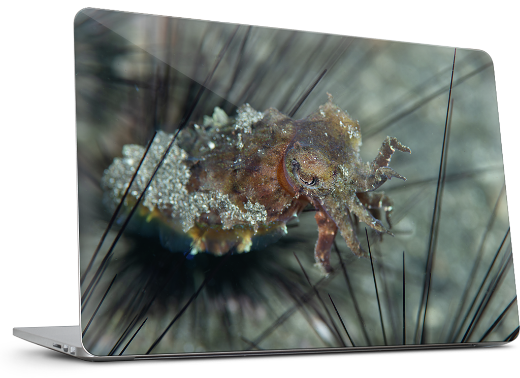 Custom MacBook Skin - 19a56d75