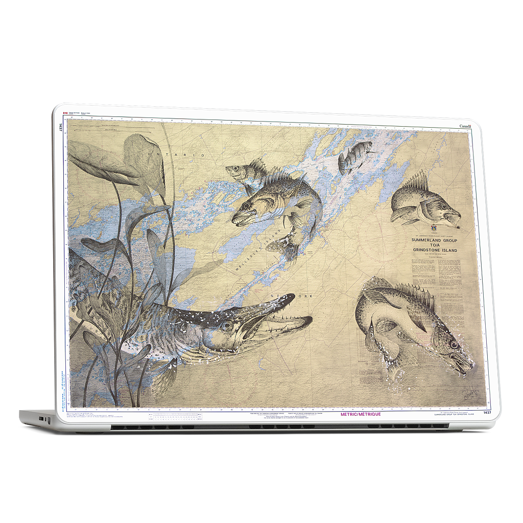 Custom MacBook Skin - ecfe1188