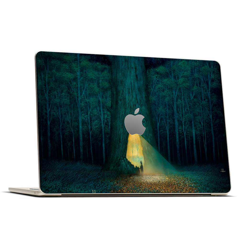 Beyond the Familiar MacBook Skin