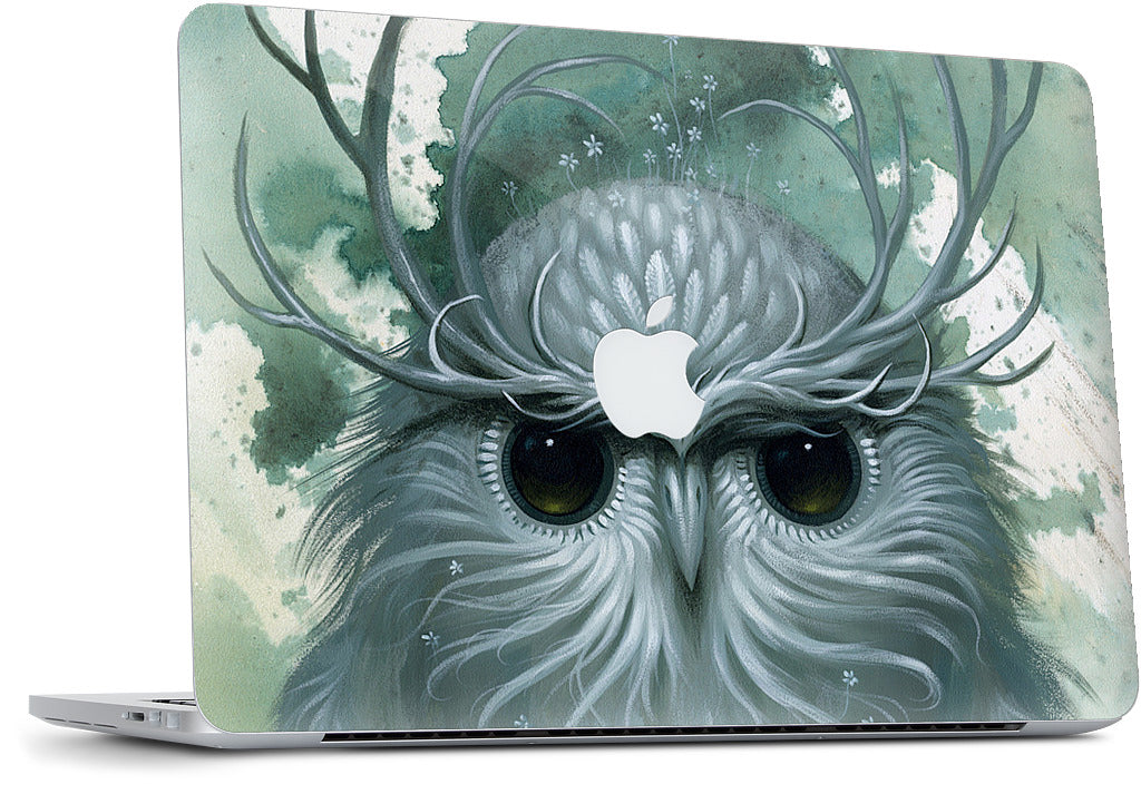 Snow Owl MacBook Skin