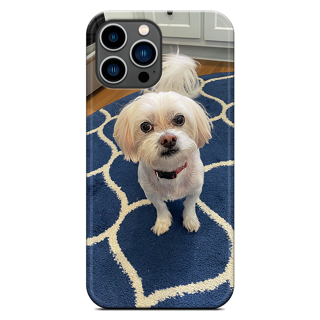 Custom iPhone Case - 64cd6886