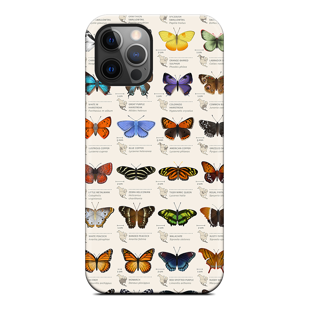 42 North American butterflies iPhone Case