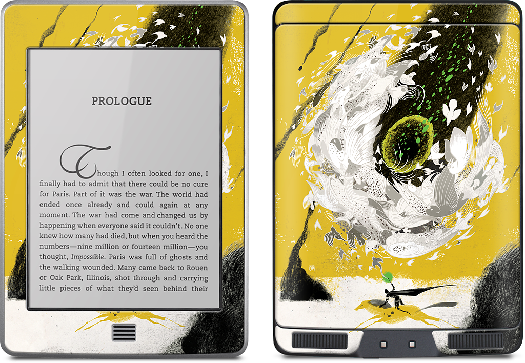 Risk Aversion Kindle Skin