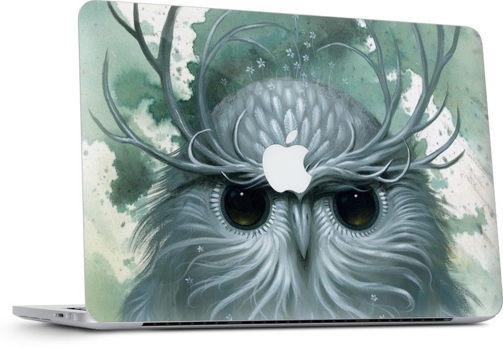 Snow Owl MacBook Skin