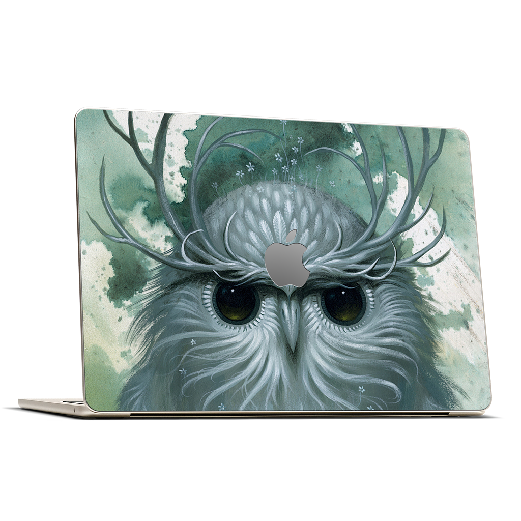 Snow Owl MacBook Skin