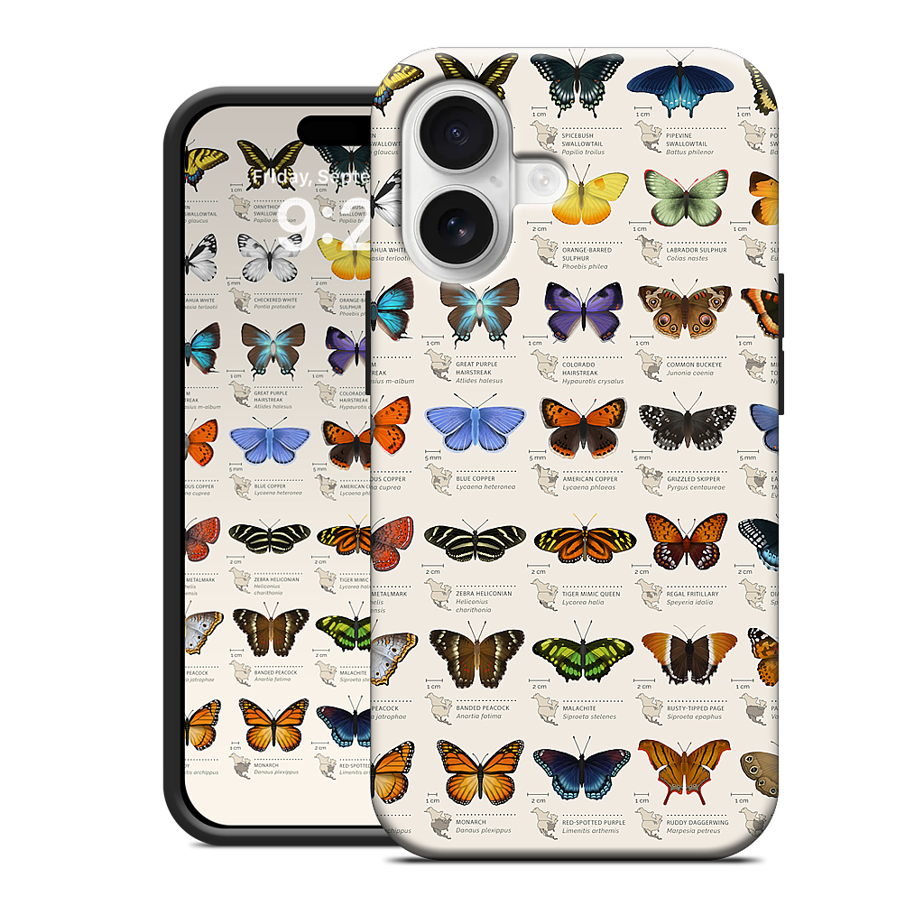 42 North American butterflies iPhone Case