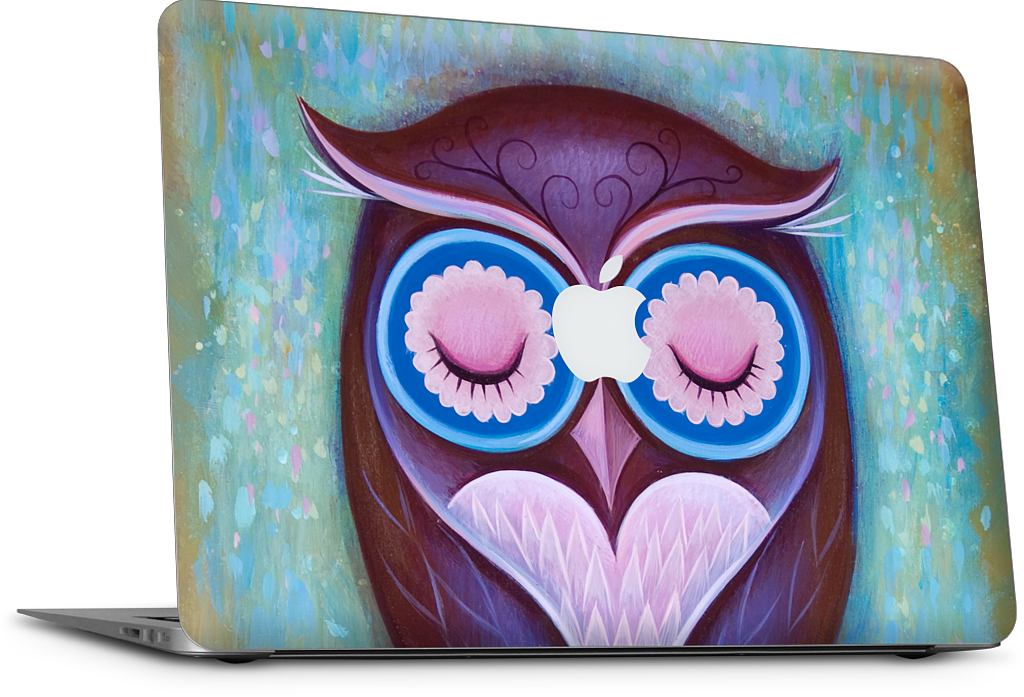 Sleepy Owl MacBook Skin