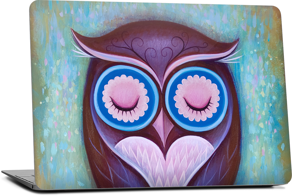 Sleepy Owl MacBook Skin
